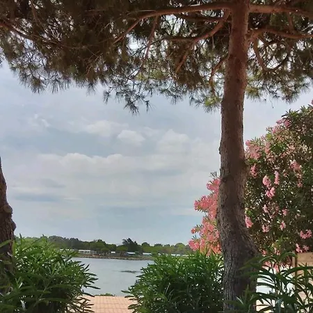 Villa 6p Climatisee Proche Piscine Equipements Nautique *